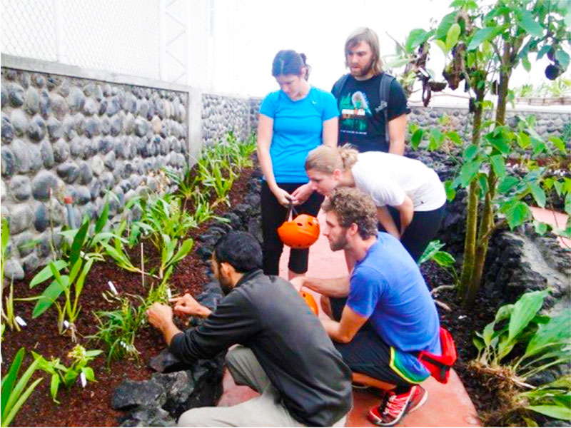 Guianza-de-Orquideario